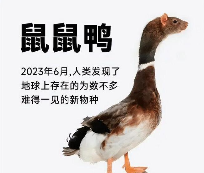 6·1江西工职院食品安全事件