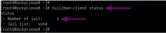 CentOS、Rocky Linux、AlmaLinux 8/9如何使用Firewalld配置Fail2ban防护SSH扫描攻击
